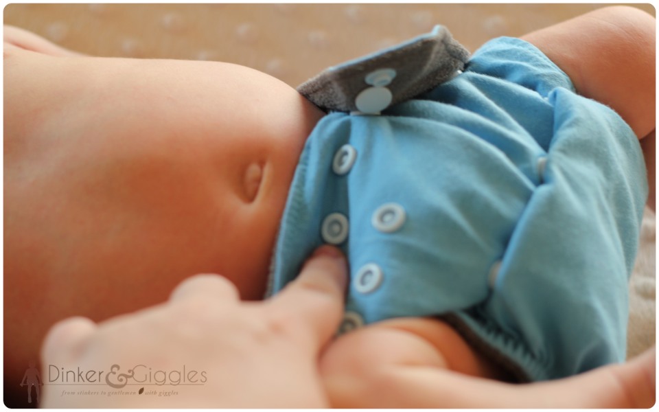bamboo-cloth-diaper-settings 6 bamboo cloth diaper