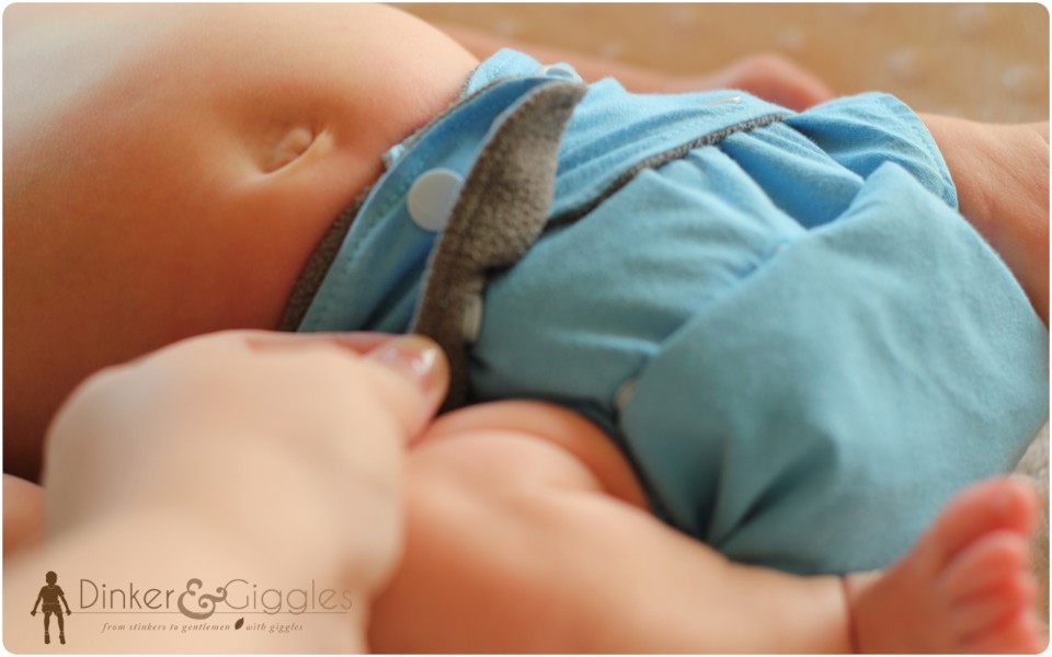 bamboo-cloth-diaper-settings bamboo cloth diaper